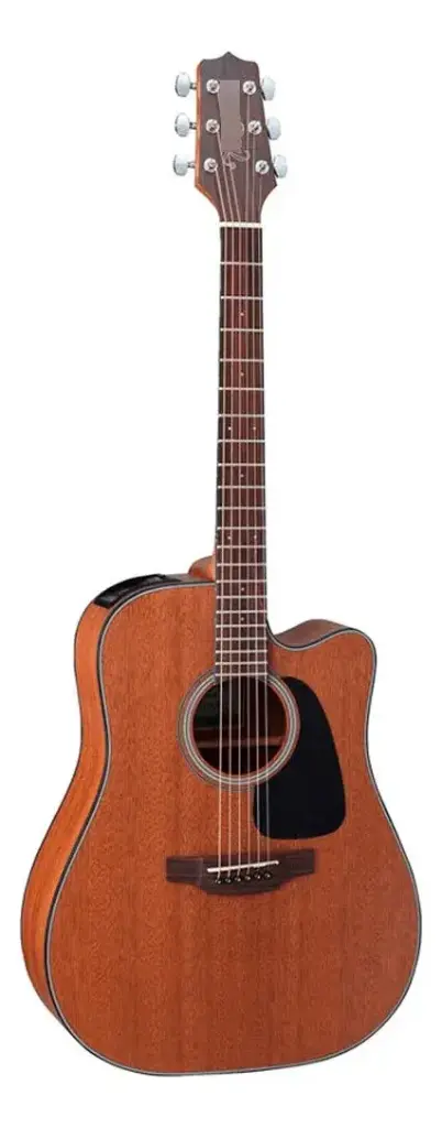 Takamine Gd11